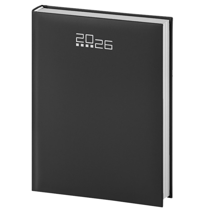 AGENDA MAXI - immagine 2